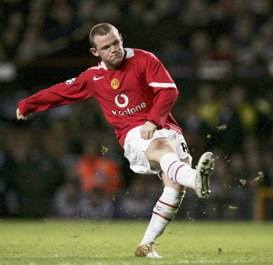 利奠定了基 利奠定了基